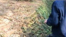 吃瓜视频背后的真相与热议：网红曝光与内容反差引发关注